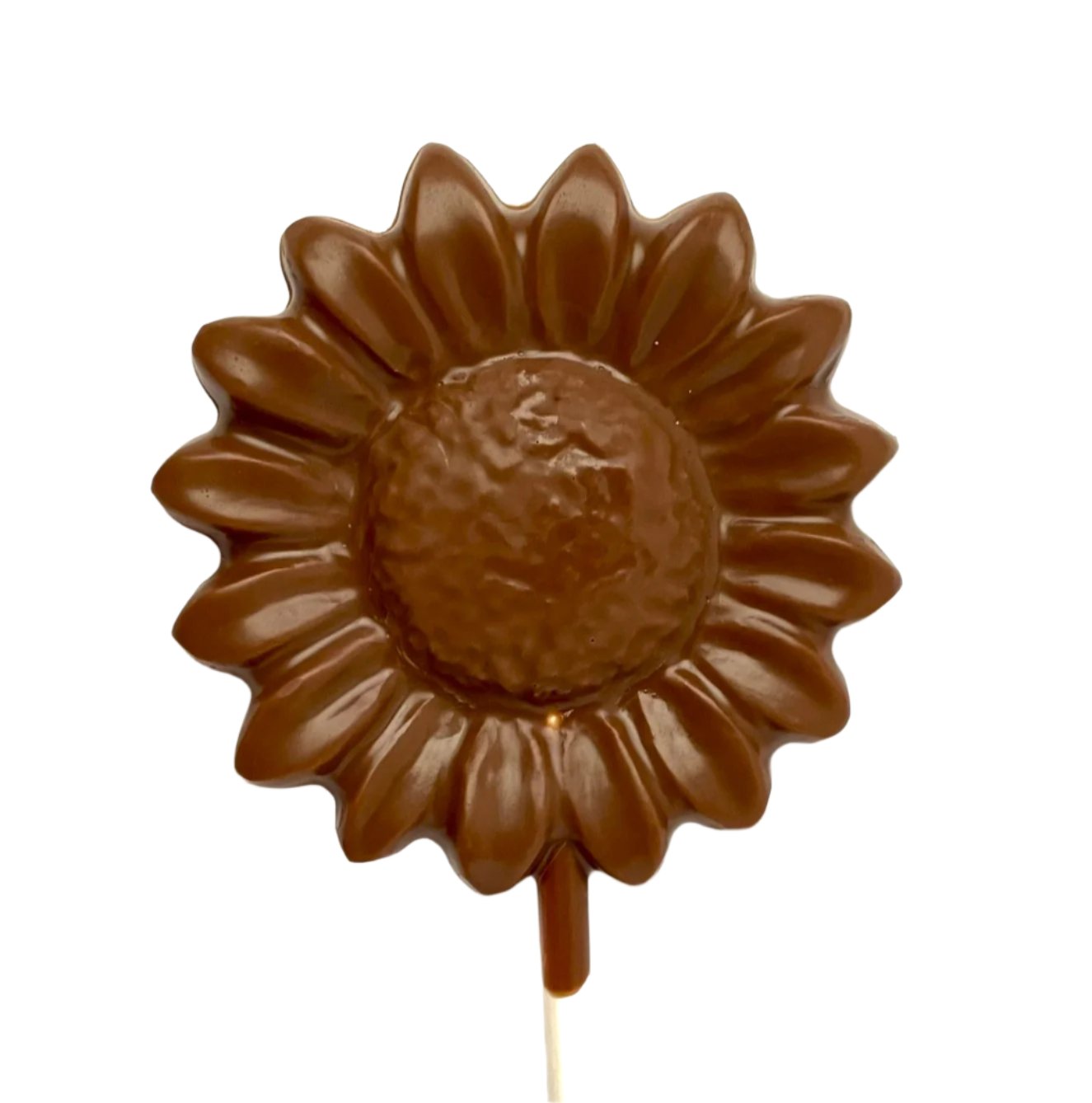 Chocolate lollipop Sunflower