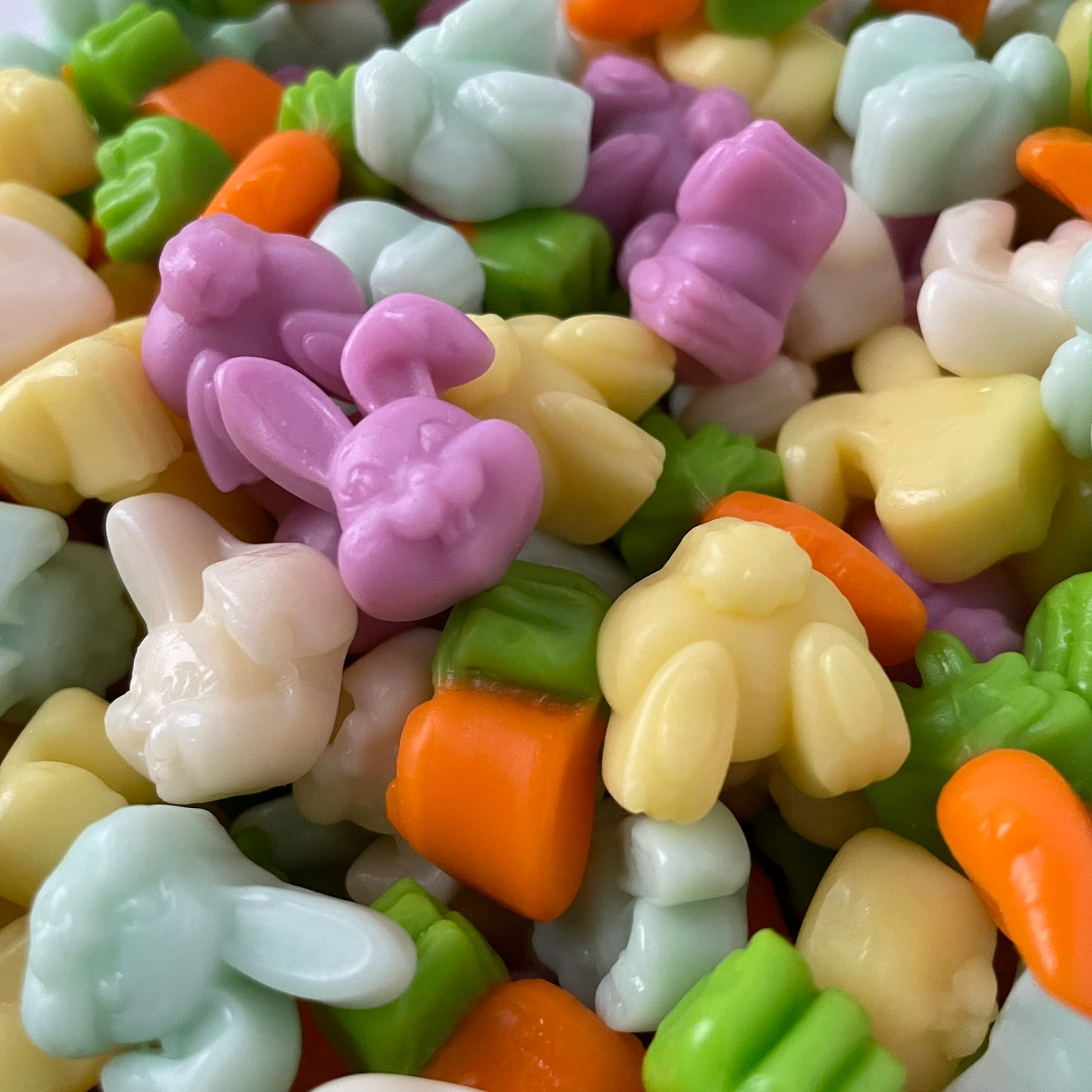 Bunnies and Carrots🥕🐰