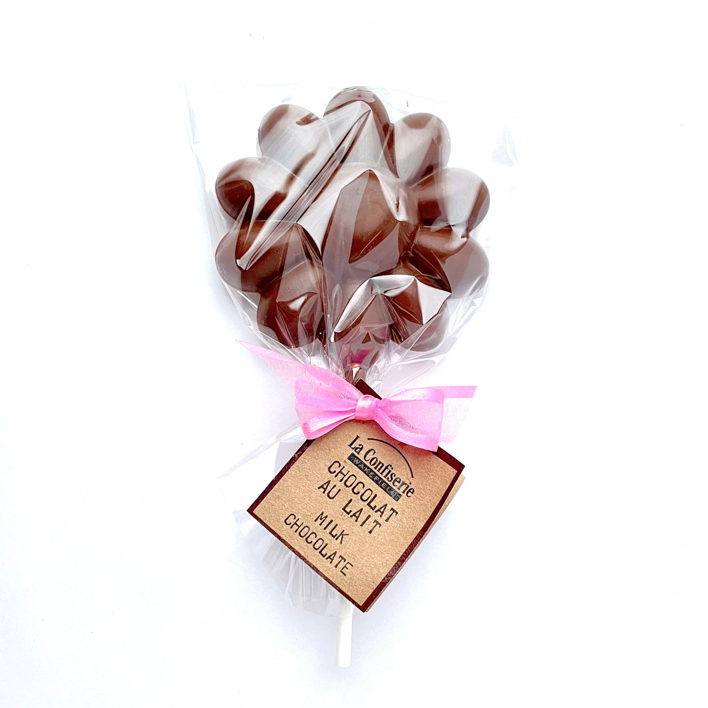 Chocolate Lollipop _ Daisy
