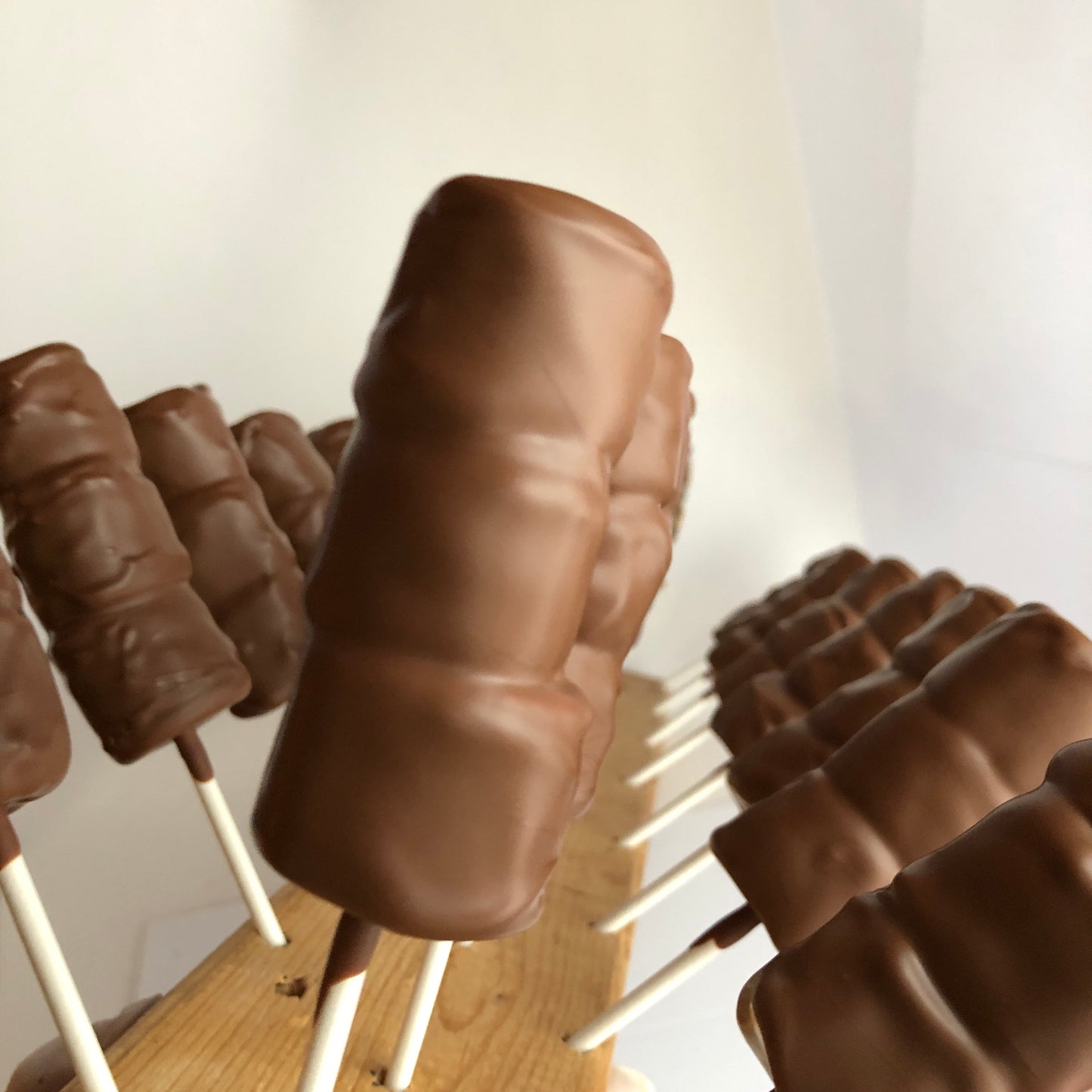 Marshmallows dipped in MILK chocolate
